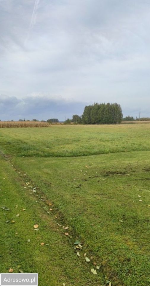Działka budowlana Palikówka. Zdjęcie 4