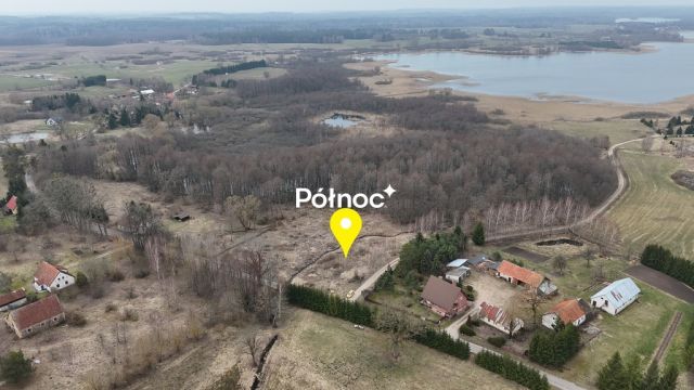 Działka rolna Rogojny. Zdjęcie 4
