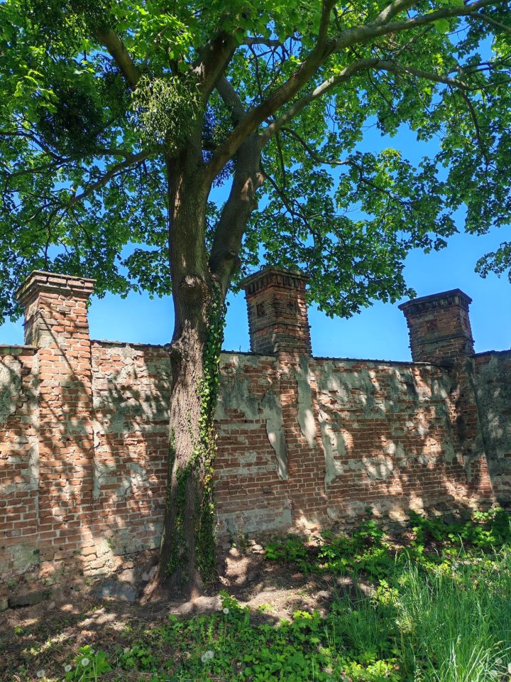 dworek, 10 pokoi Popowo Kościelne. Zdjęcie 6