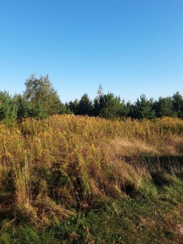 Działka budowlana Charlęż Charlęż-Kolonia. Zdjęcie 1