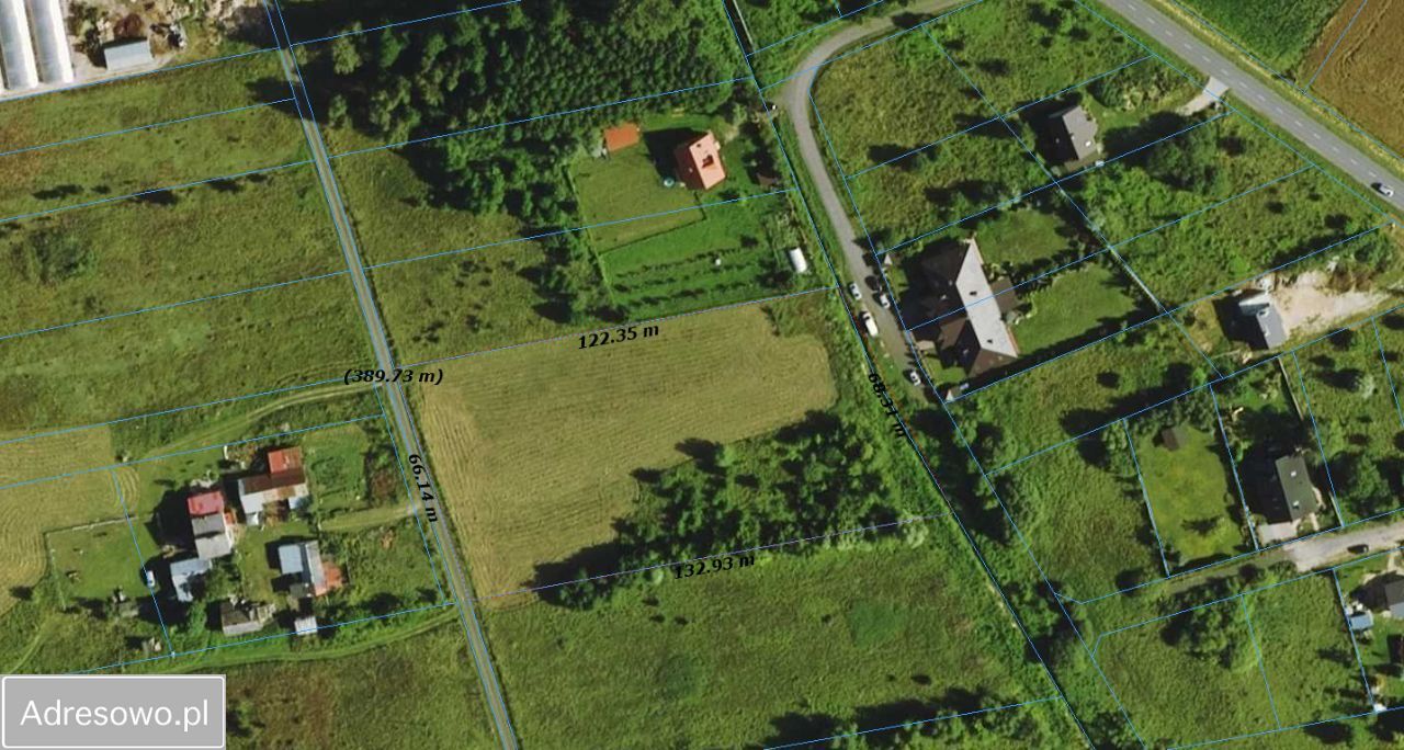 Działka rolna Jaktorów-Kolonia, ul. Generała Sikorskiego. Zdjęcie 2