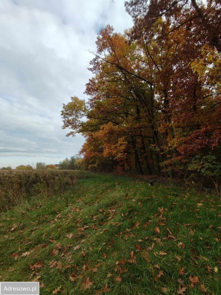 Działka budowlana Tarnów. Zdjęcie 2