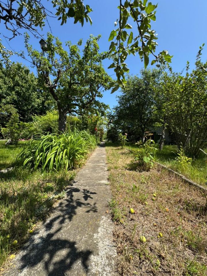 Działka rod Nysa, ul. Adama Mickiewicza. Zdjęcie 4