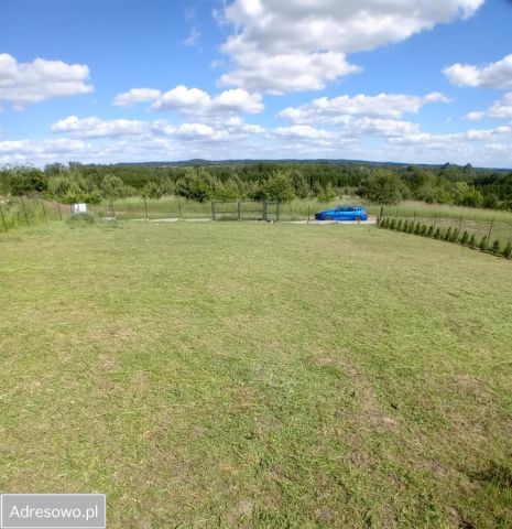 Działka rolno-budowlana Lubieszewo. Zdjęcie 1