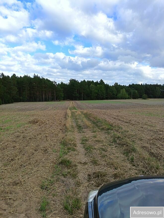 Działka budowlana Łęg Ręczyński. Zdjęcie 7