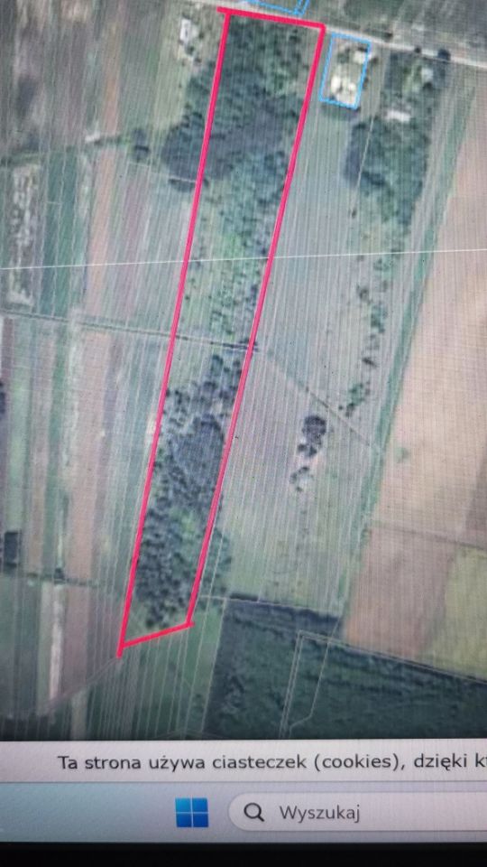 Działka siedliskowa Krzyżanówka Mała Krzyżanówka. Zdjęcie 1