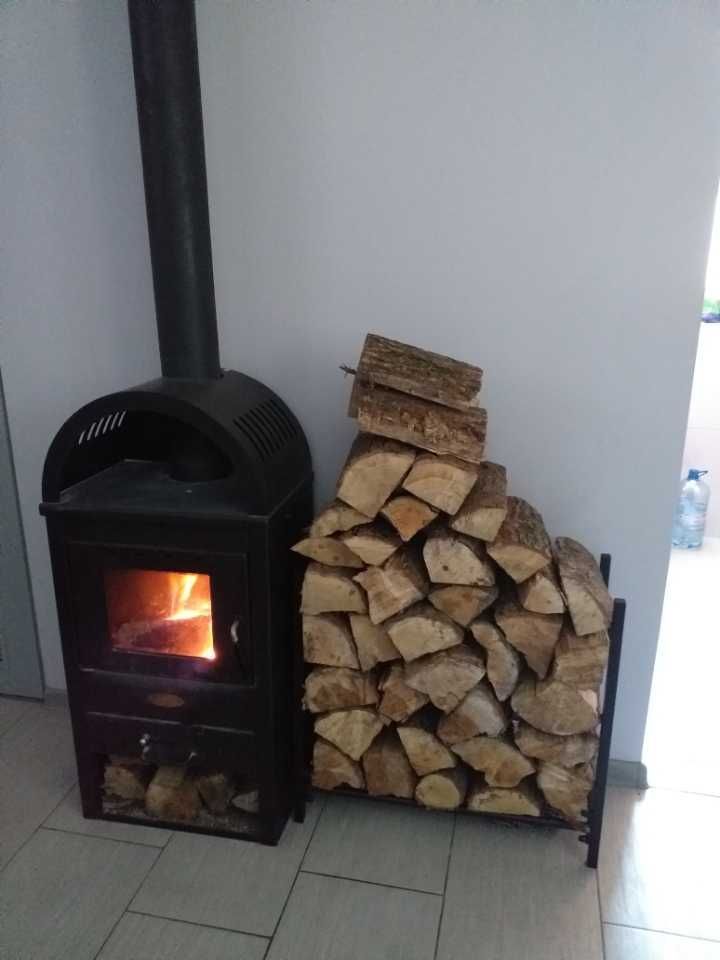 Działka rod Żurczyn. Zdjęcie 7