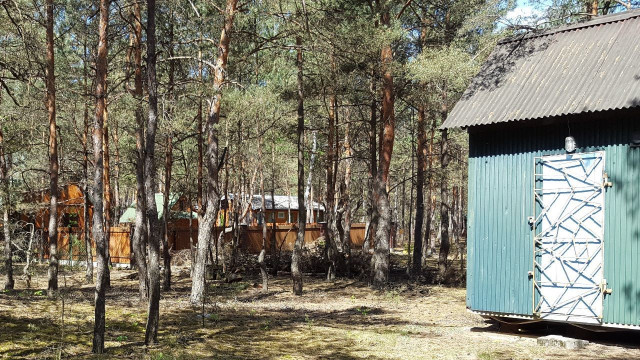 Działka rekreacyjna Dręszew. Zdjęcie 1