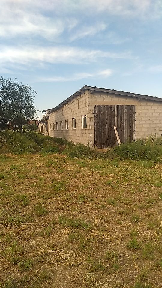 Hala/magazyn Rzechta Drużbińska. Zdjęcie 5