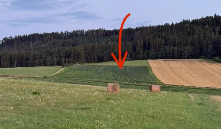 Działka rolna Radków