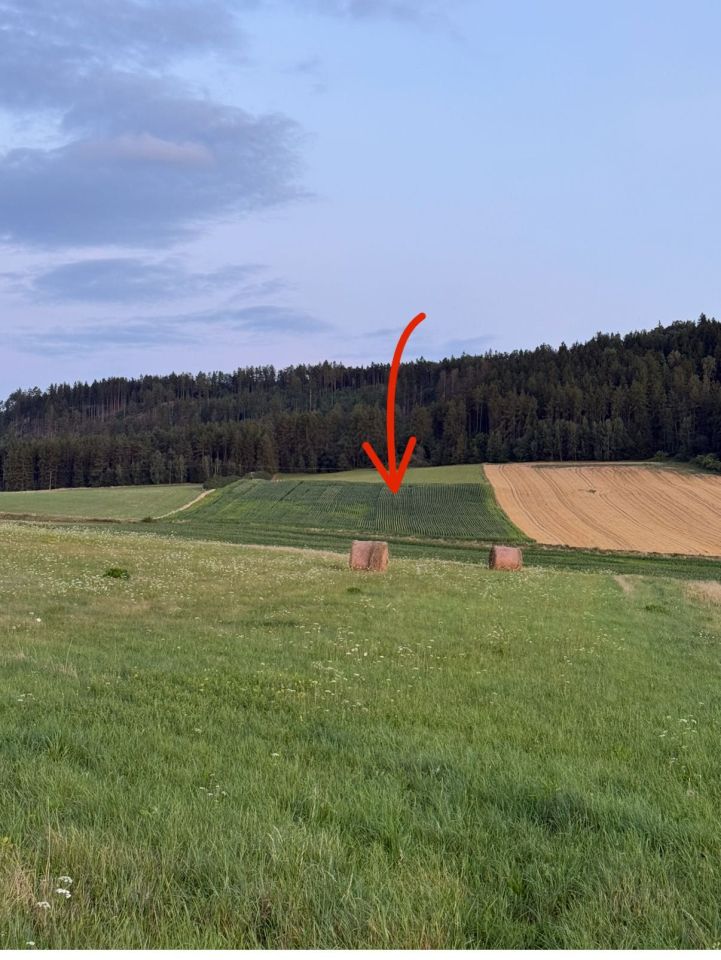 Działka rolna Radków