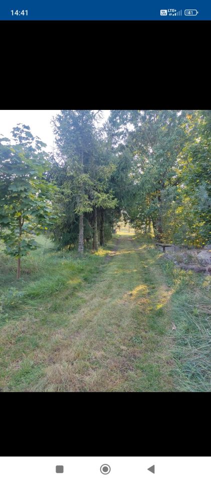 dom wolnostojący, 4 pokoje Niedamowo. Zdjęcie 16