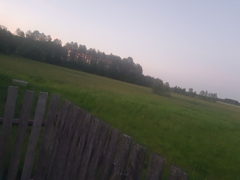 Działka rolna Obóz. Zdjęcie 2