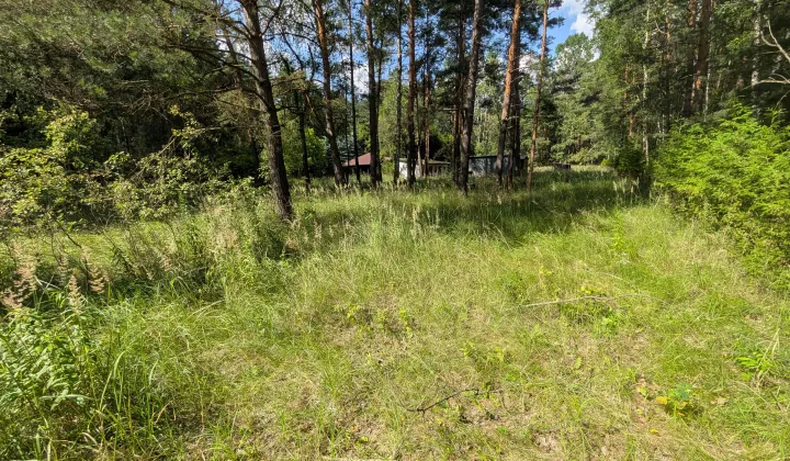 Działka leśna Myszków, ul. 1 Maja