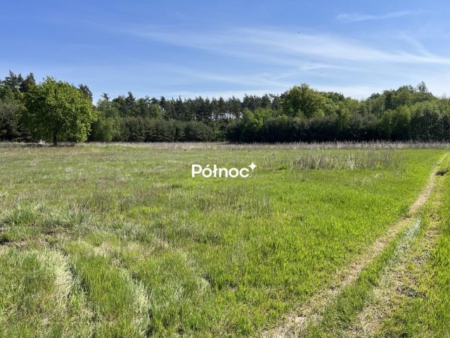 Działka rolno-budowlana Tymowa. Zdjęcie 11