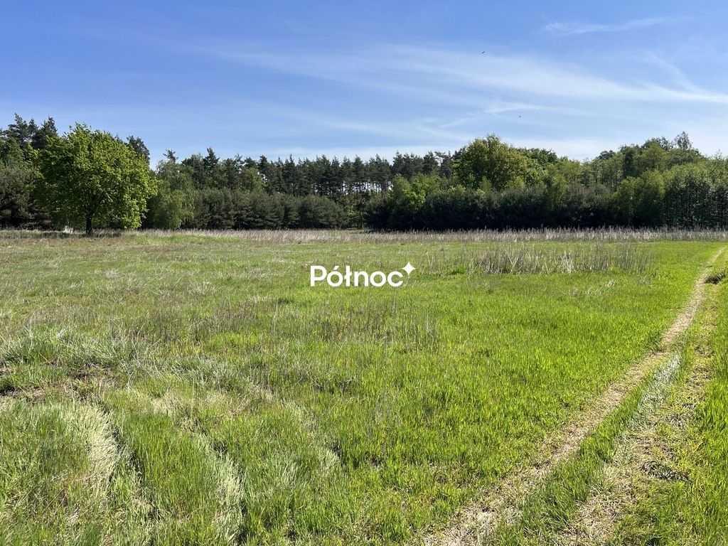 Działka rolno-budowlana Tymowa. Zdjęcie 11