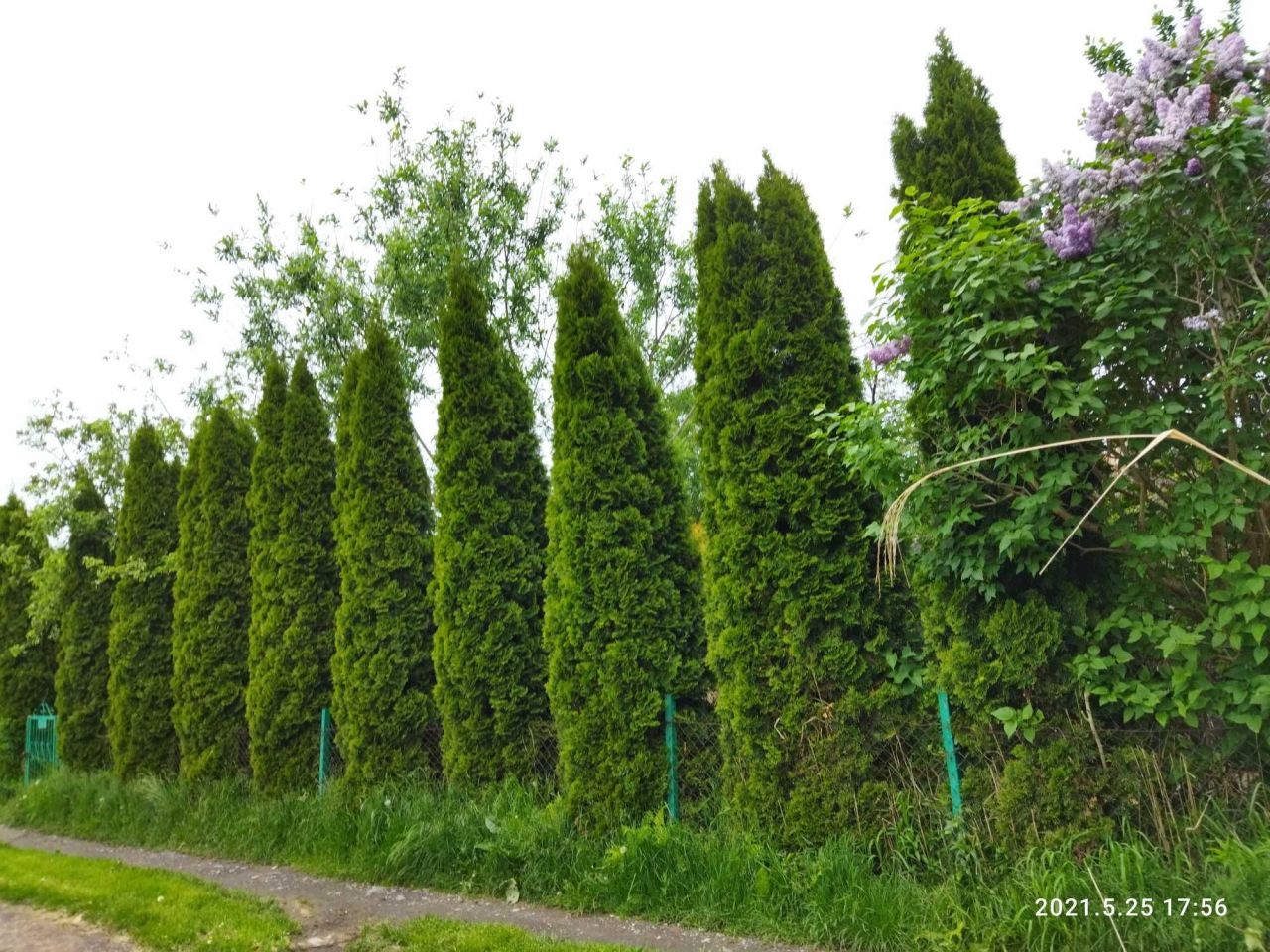 Działka rod Warszawa Włochy. Zdjęcie 2