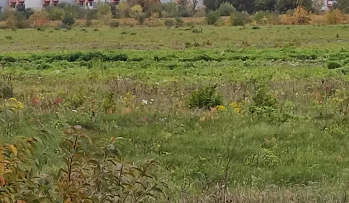 Działka budowlana Siedlce Piaski Starowiejskie, ul. Żaboklicka