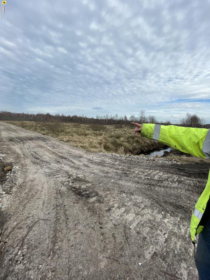 Działka rolna Dźwirzyno, ul. Aleja Południowa. Zdjęcie 3