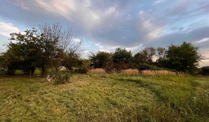 Działka rod Wrocław Psie Pole, ul. Wilczycka