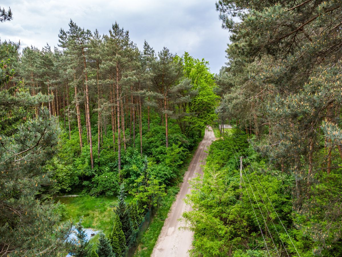 Działka inwestycyjna Słowak, ul. Droga Mleczna. Zdjęcie 2