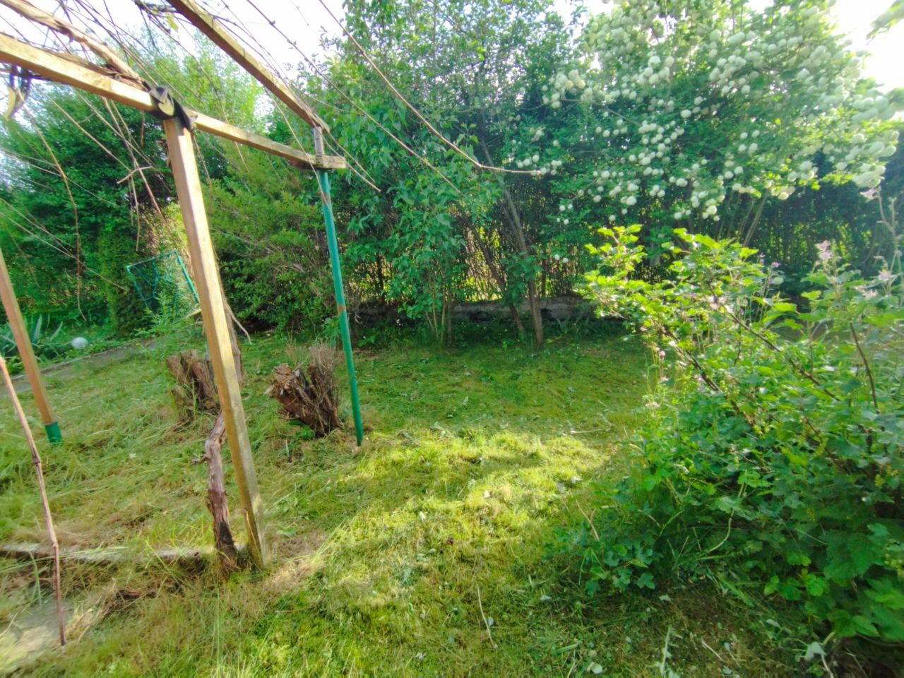 Działka rod Kamienna Góra, ul. Juliusza Słowackiego. Zdjęcie 8