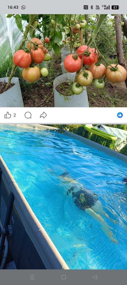 Działka rod Koszalin, ul. Działkowa. Zdjęcie 4