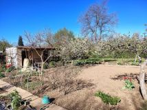 Działka rod Legnica, ul. Ogrodowa. Zdjęcie 2