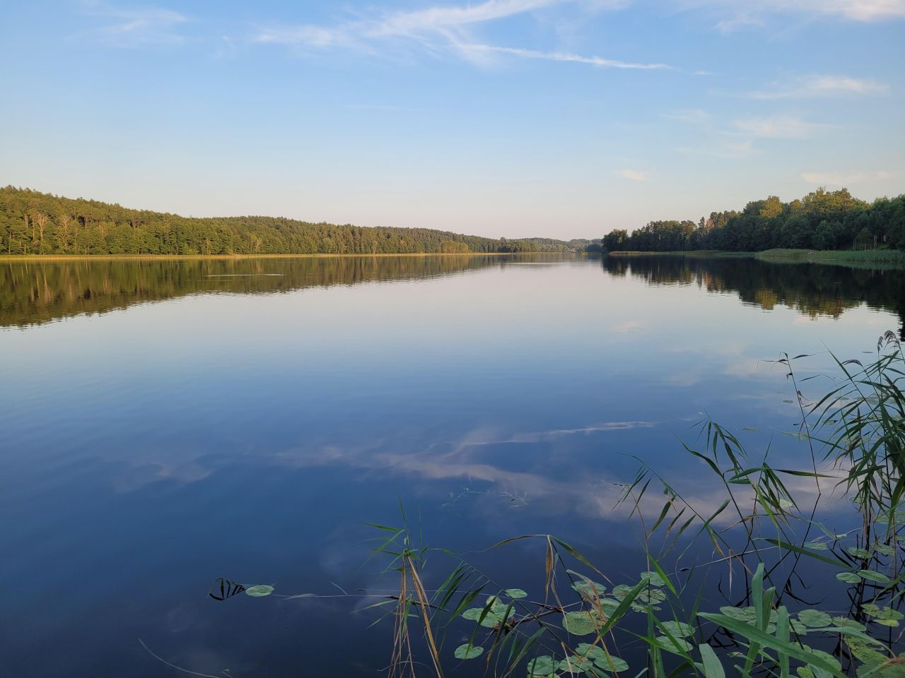 Działka leśna Pluszkiejmy. Zdjęcie 12