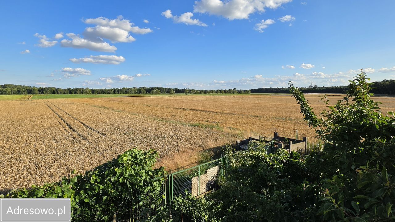 dom wolnostojący, 3 pokoje Będlewo, ul. Wiejska. Zdjęcie 8