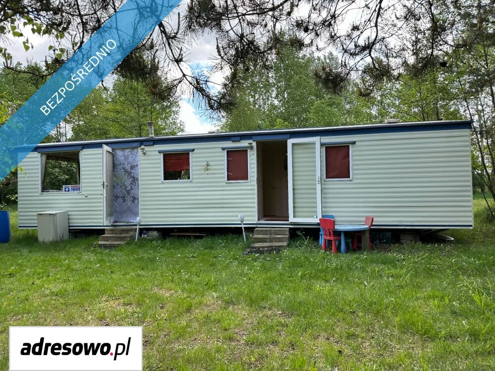 Działka leśna Kaszewiec. Zdjęcie 10