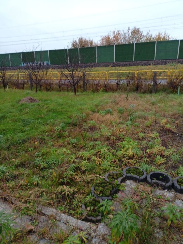 Działka rod Brzeg, ul. Małujowicka. Zdjęcie 4