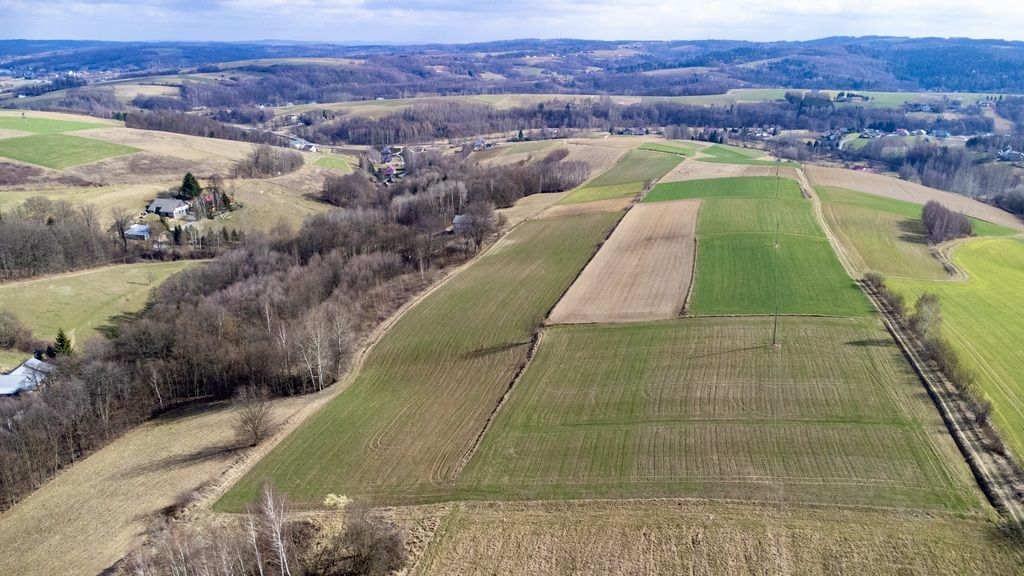 Działka budowlana Brzeziny. Zdjęcie 6