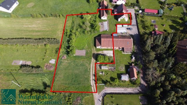 bliźniak Wirwilty. Zdjęcie 9