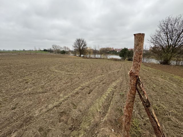 Działka budowlana Łubianka, ul. A. Filemonowicza. Zdjęcie 1