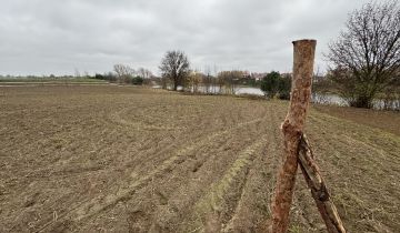 Działka budowlana Łubianka, ul. A. Filemonowicza