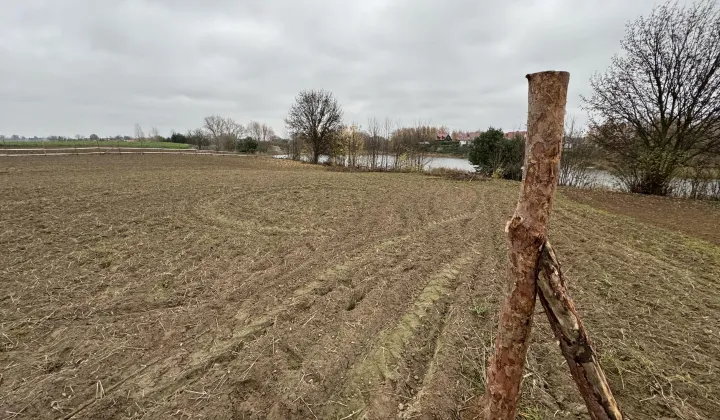 Działka budowlana Łubianka, ul. A. Filemonowicza