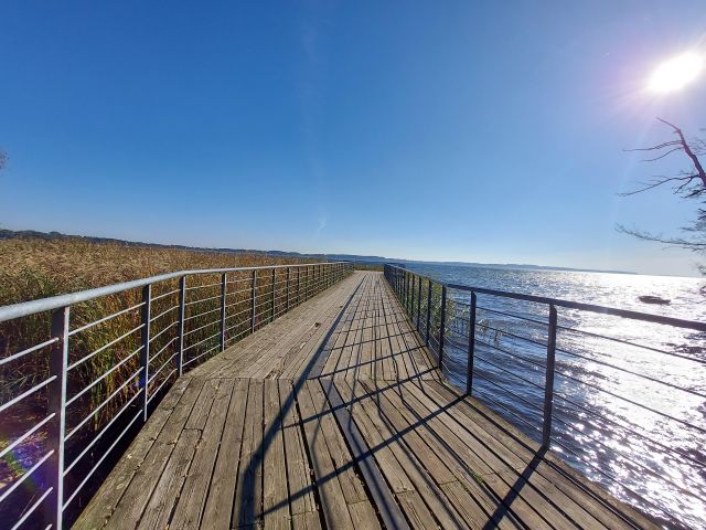 Działka rekreacyjna Morzyczyn, ul. Żołędziowa. Zdjęcie 16