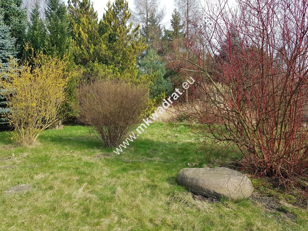 Działka Budy Wolskie. Zdjęcie 6