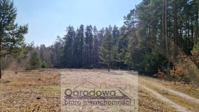 Działka budowlana Kąty. Zdjęcie 10