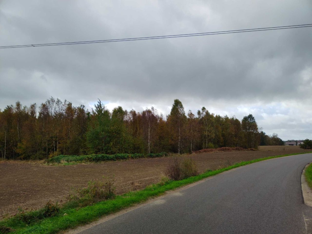 Działka rolna Donimierz. Zdjęcie 5