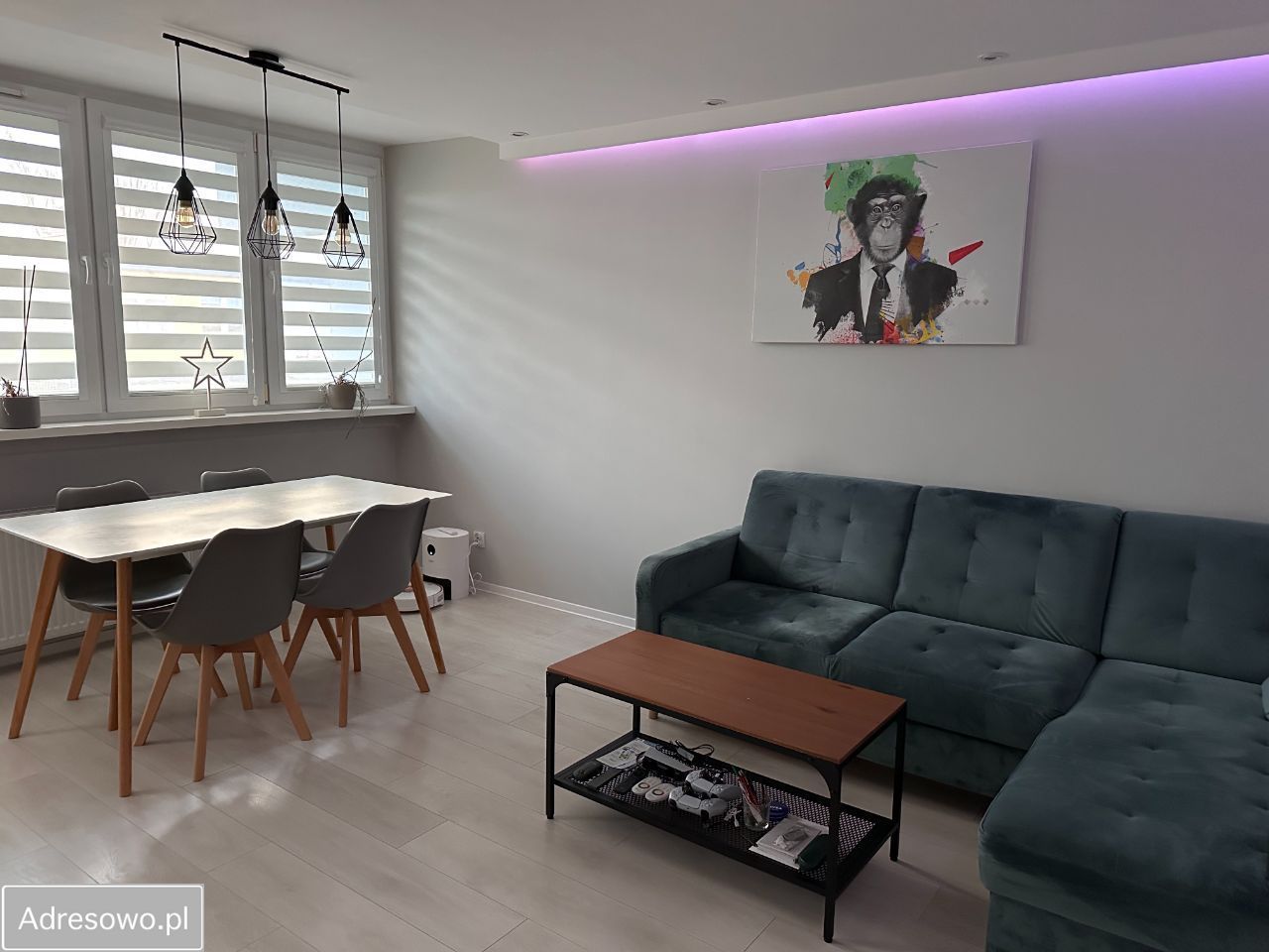 Mieszkanie 2-pokojowe Legnica, ul. Kasjopei