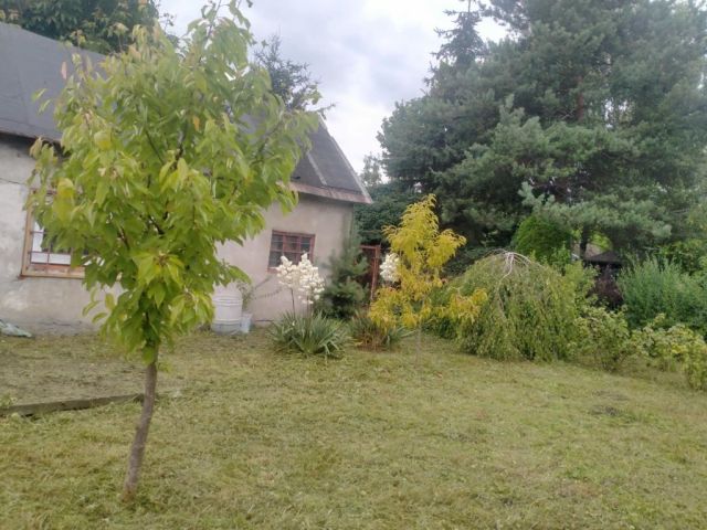 Działka rod Wrocław Stare Miasto, ul. Gruszowa. Zdjęcie 1