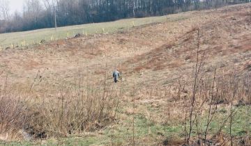 Działka rolna Gaj, ul. Zadziele