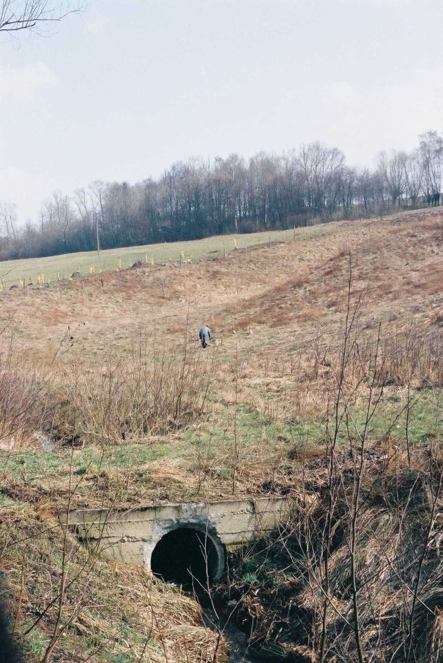 Działka rolna Gaj, ul. Zadziele. Zdjęcie 2