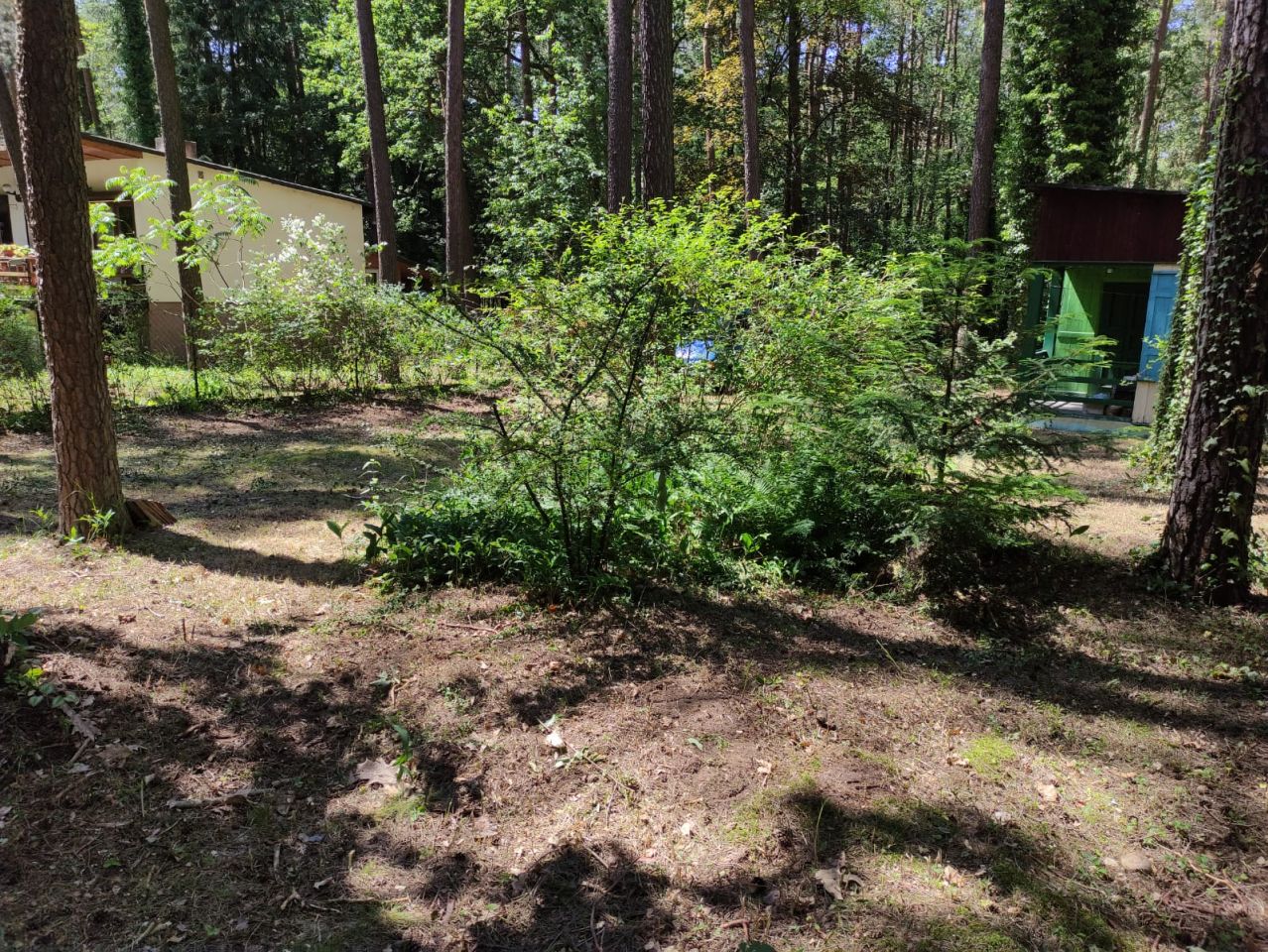 Działka budowlana Sokolniki-Las, ul. Adama Mickiewicza. Zdjęcie 7