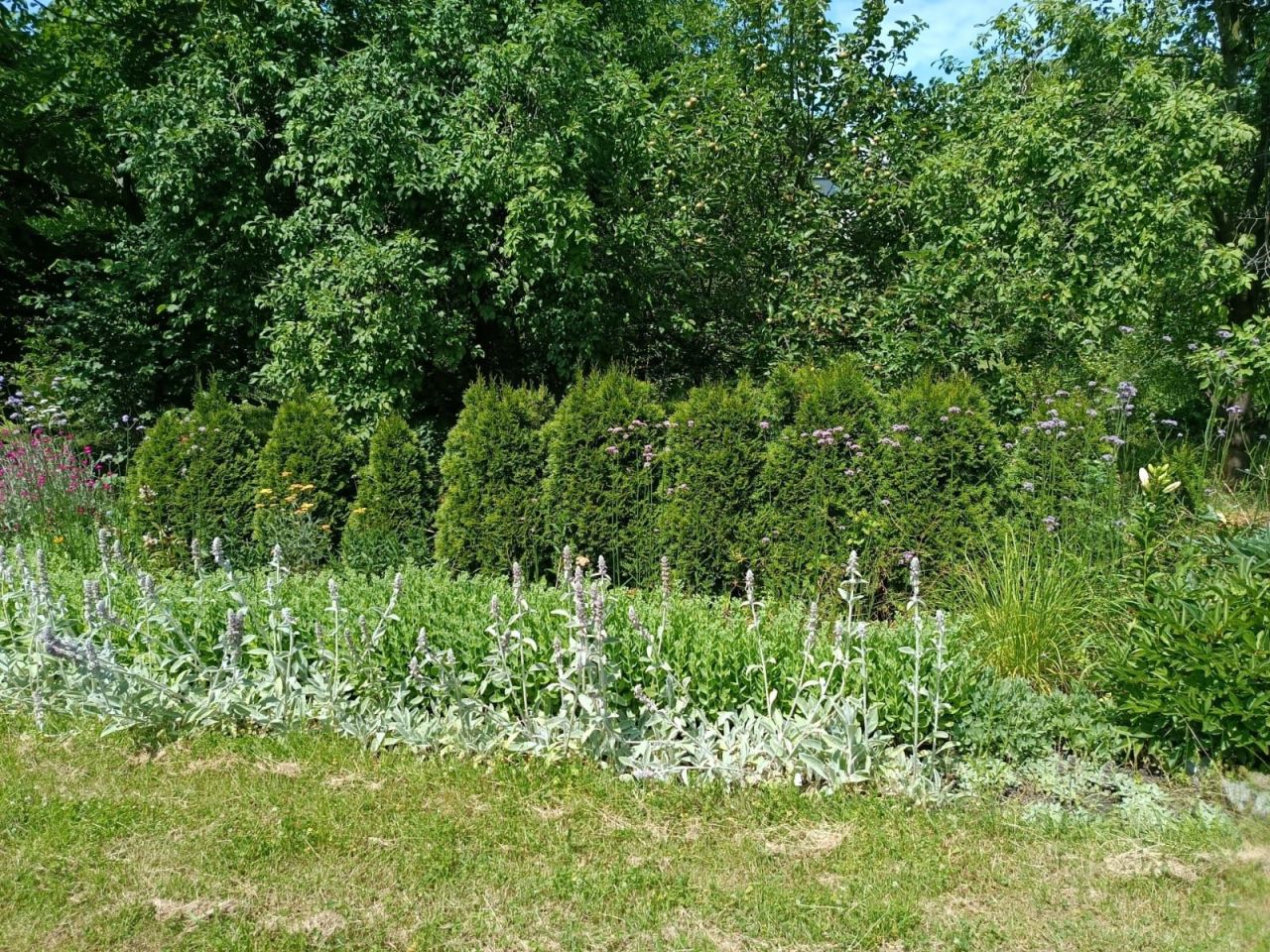 Działka rod Wrocław Krzyki, ul. Powstańców Śląskich. Zdjęcie 3