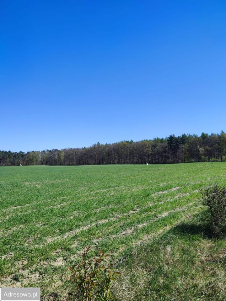 Działka budowlana Kruszyn. Zdjęcie 5