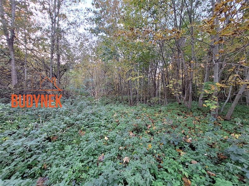 Działka Masłowice. Zdjęcie 14