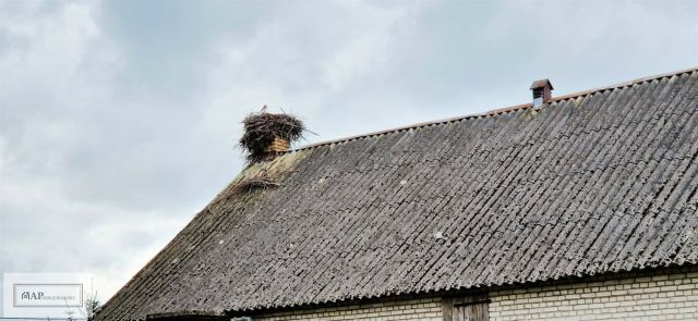 Działka Jabłków. Zdjęcie 6